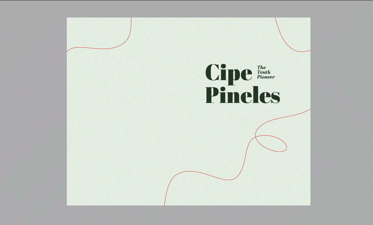 A gif of all of the pages